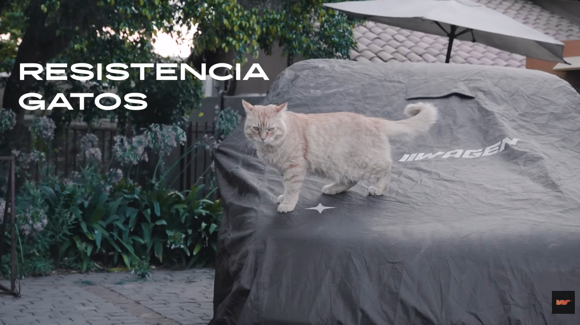 Cargar video: 